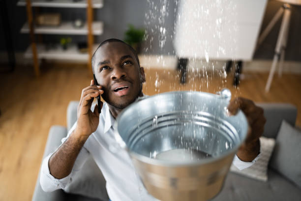 Best 24/7 water damage repair  in Estes Park, CO