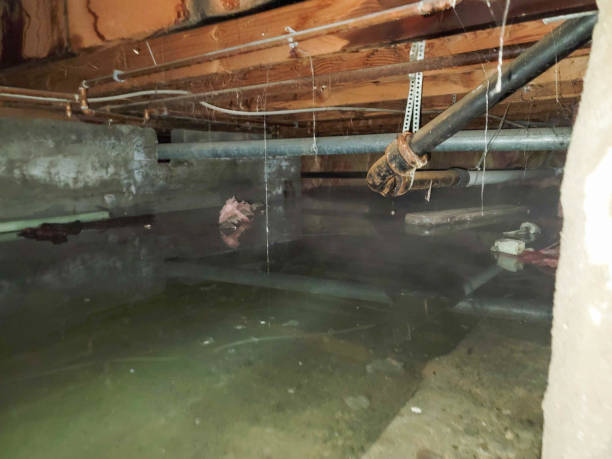 Best Water damage restoration experts  in Estes Park, CO