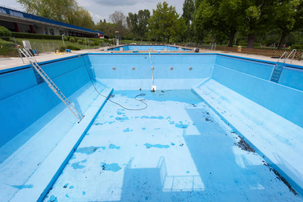 Best Flood damage cleanup  in Estes Park, CO