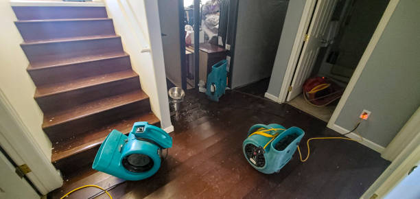  Estes Park, CO Water damage restoration Pros