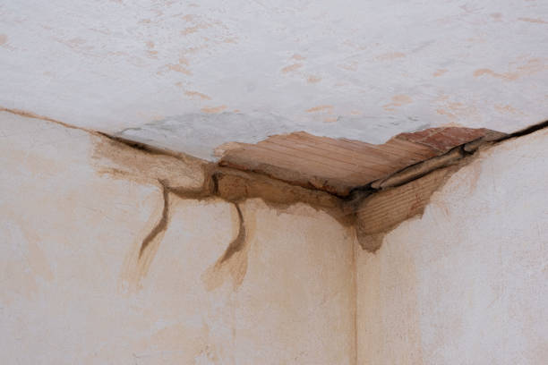 Best Residential water damage restoration  in Estes Park, CO