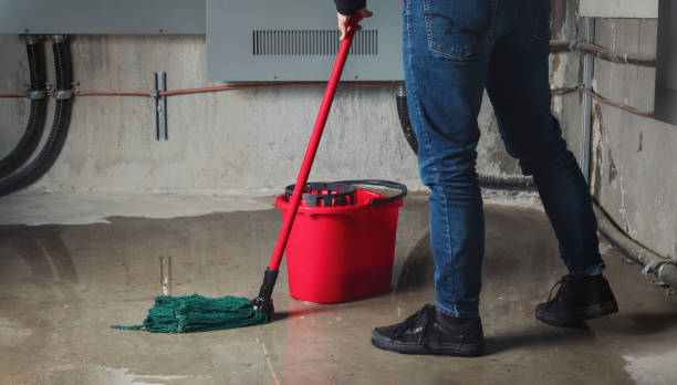Best Professional water damage repair  in Estes Park, CO