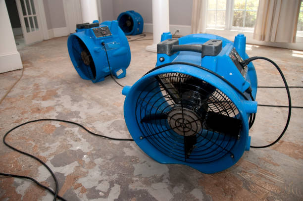 Best 24-hour water damage restoration  in Estes Park, CO