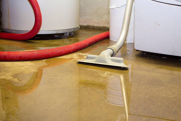 Best Flood restoration services  in Estes Park, CO